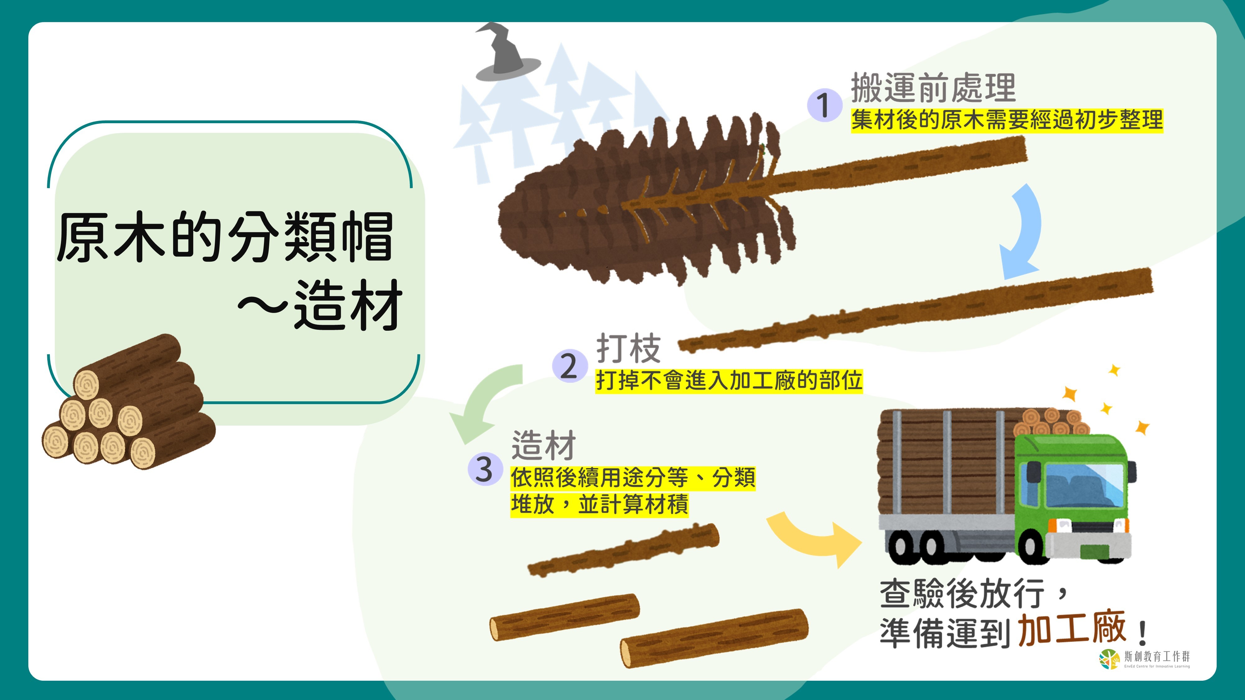 原木的分類帽～造材